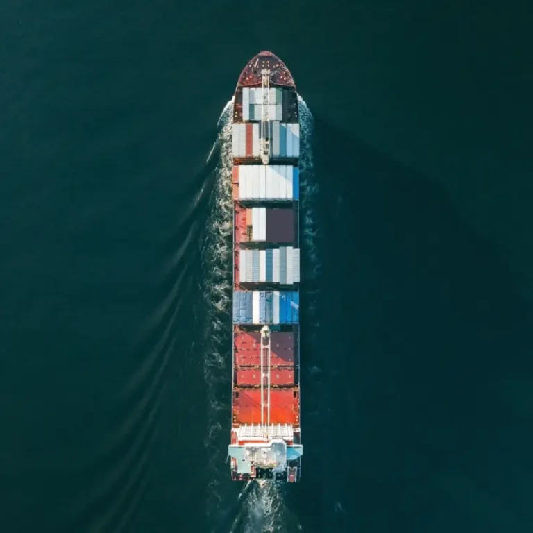 Container cargo ship sailing in sea